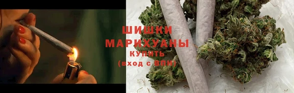 дмт Алзамай