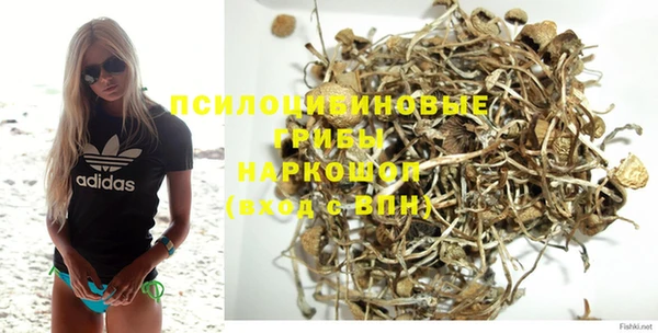 дурь Алексеевка