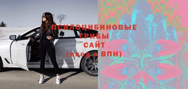 ПСИЛОЦИБИНОВЫЕ ГРИБЫ Абдулино